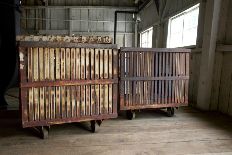 How to Build a Wooden Snail Cage with Mosquito Net: A Complete Nigerian Farmer’s Guide