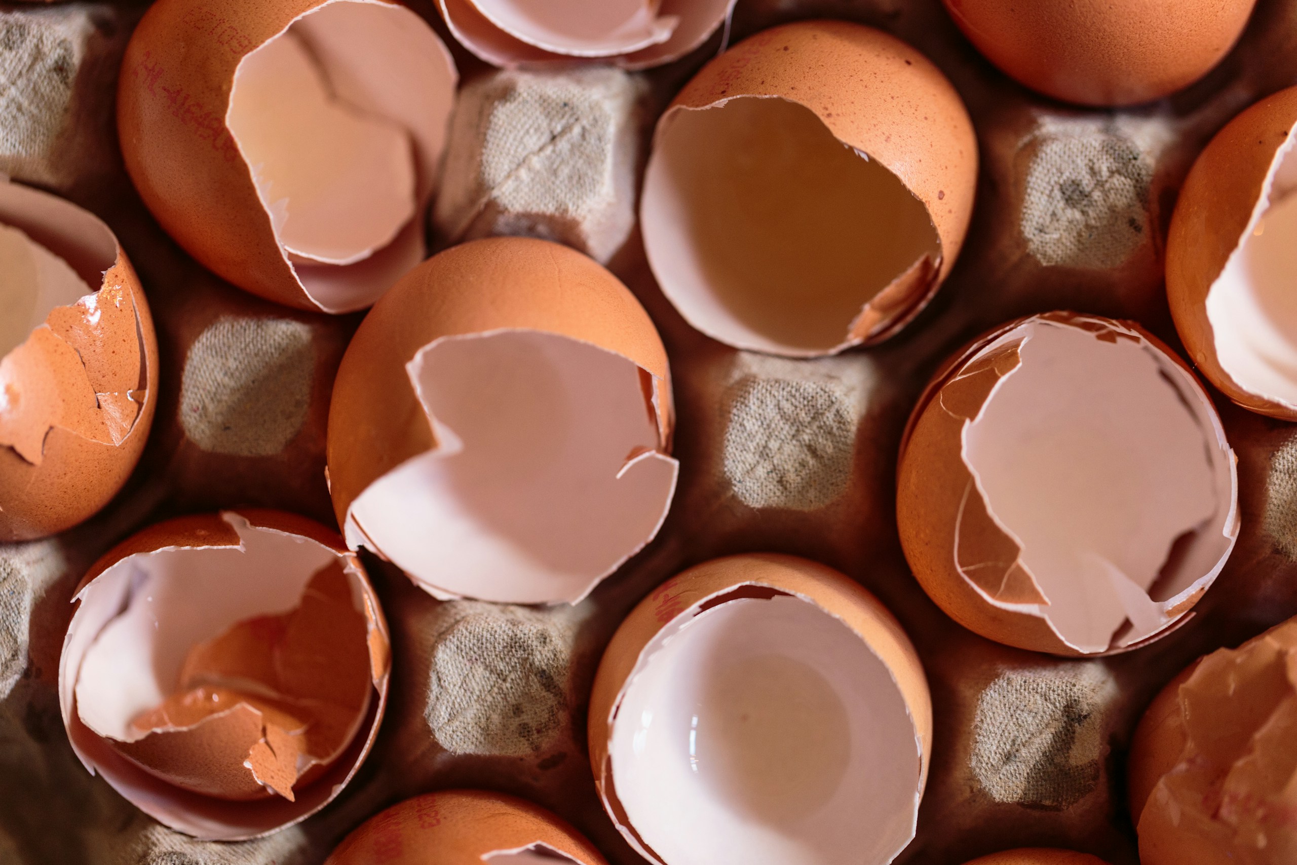 a-bunch-of-eggs-that-have-been-broken-in-half-stockpack-unsplash