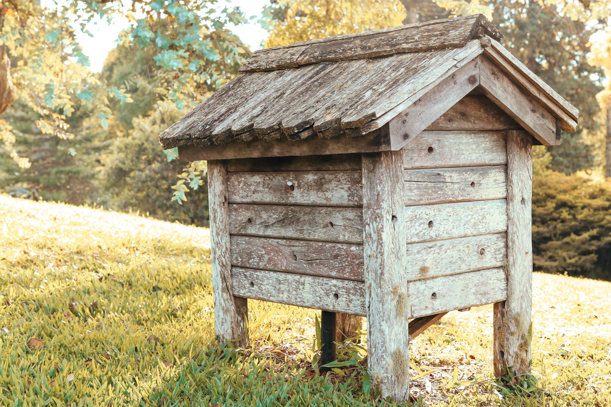 A vintage wooden beehive sits in a sunlit clearing surrounded by lush greenery.