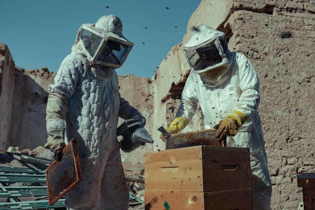 Beekeepers in protective suits tending to hives amidst ancient ruins on a sunny day.
