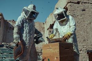 Beekeepers in protective suits tending to hives amidst ancient ruins on a sunny day.