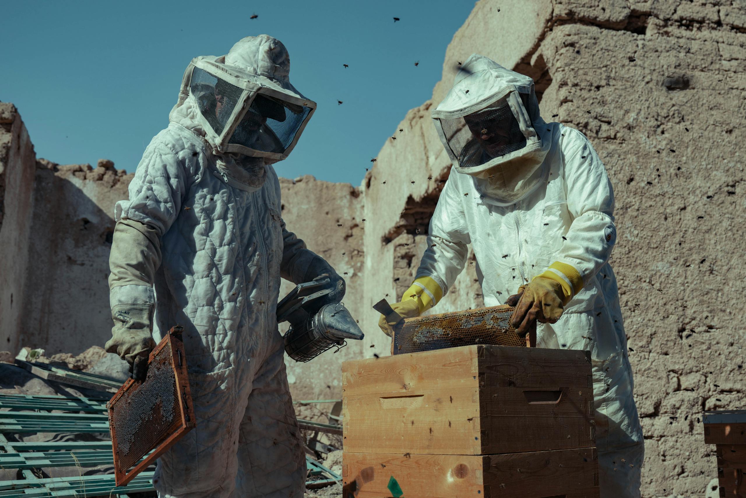 Beekeepers in protective suits tending to hives amidst ancient ruins on a sunny day.